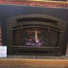 FPX Gas Fireplace Insert